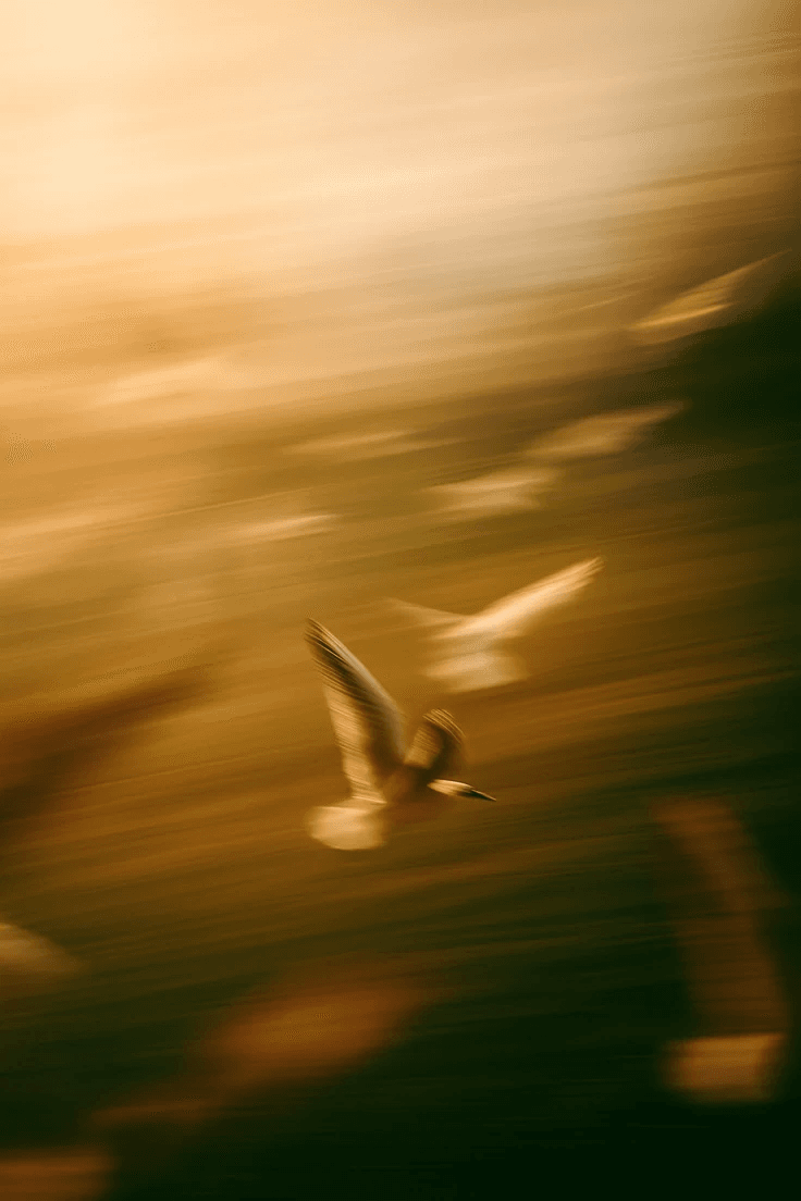 Quick Onboarding Background